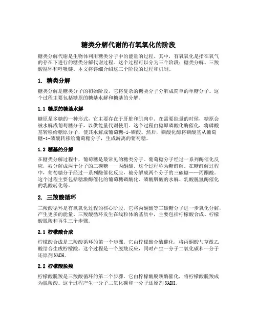 糖类分解代谢的有氧氧化的阶段