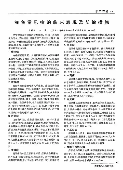 鲤鱼常见病的临床表现及防治措施