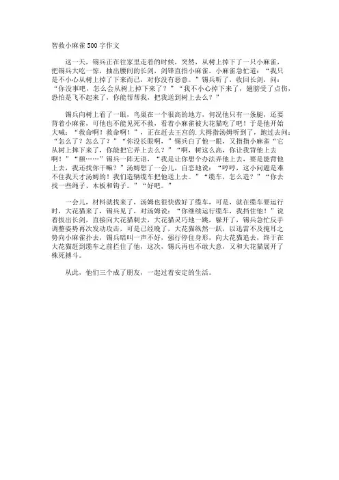 智救小麻雀500字作文