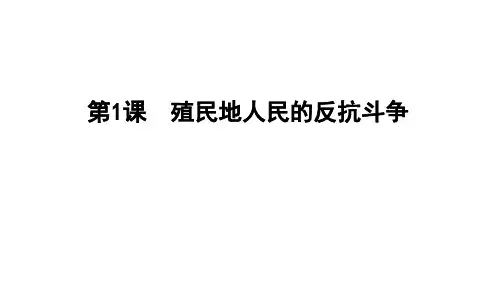 殖民地人民的反抗斗争ppt课件