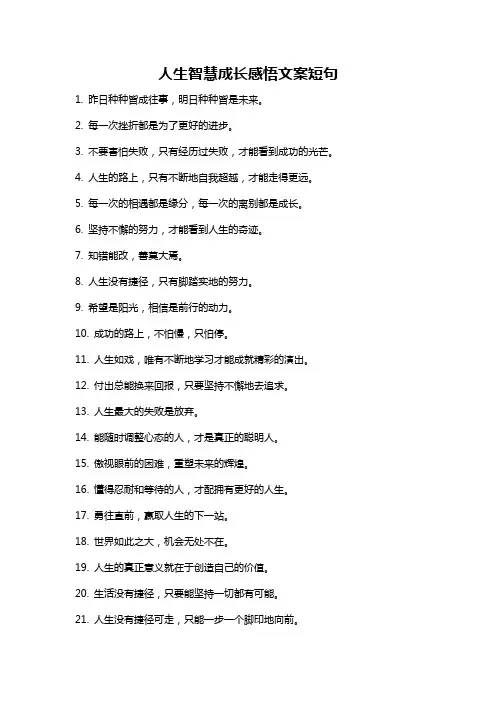 人生智慧成长感悟文案短句