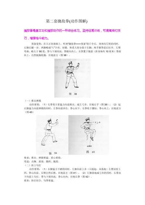 老式擒敌拳《动作图解》