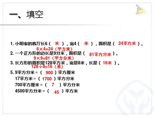 面积解决问题---铺地问题--PPT课件