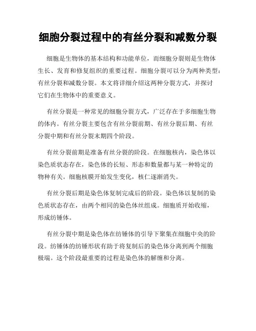 细胞分裂过程中的有丝分裂和减数分裂