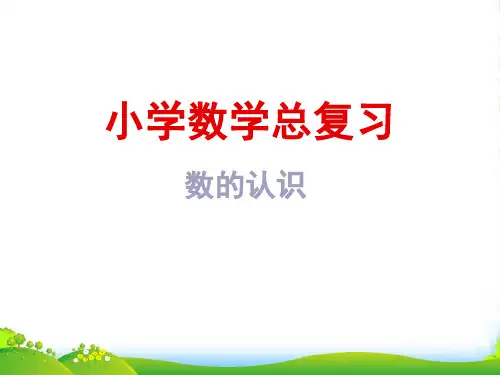 新课标人教版小升初数学总复习(数的认识)课件