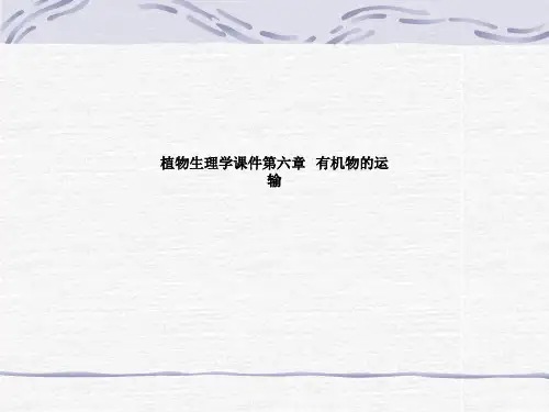 植物生理学课件第六章   有机物的运输