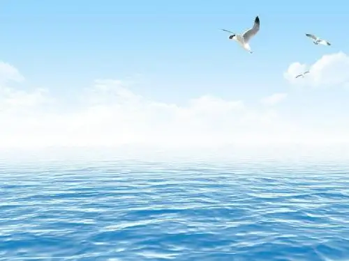 苏教版语文三下《11.赶海》
