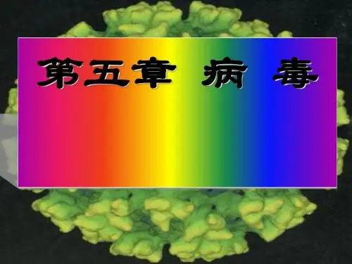 第五章  病毒课件(共28张PPT)