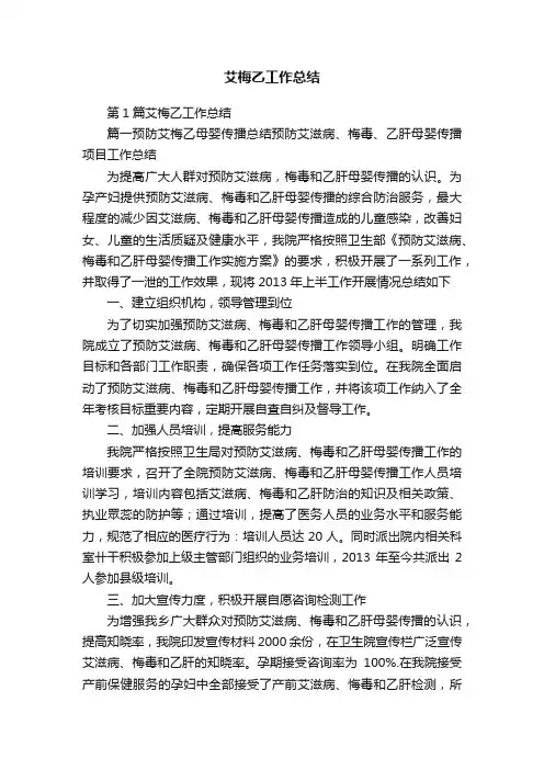 艾梅乙工作总结