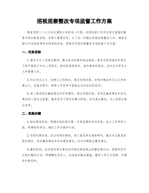 巡视巡察整改专项监督工作方案