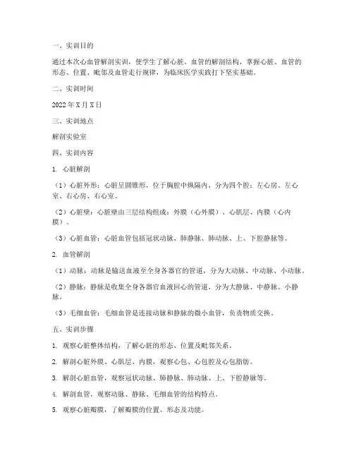 心血管解剖实训报告范文
