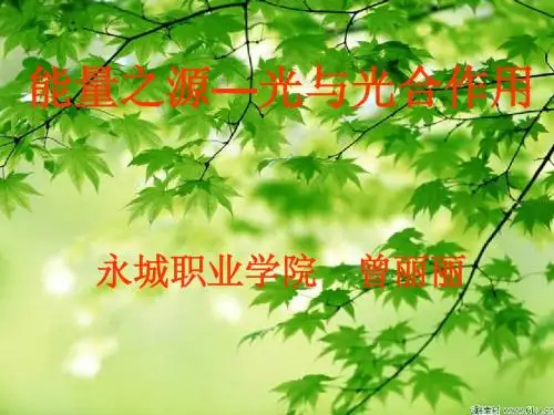 光合作用说课课件
