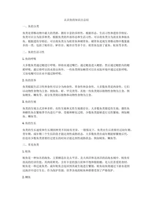 认识鱼的知识点总结