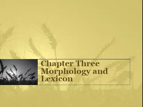 Chapter Three   语言学 第三章  大学英语语言学