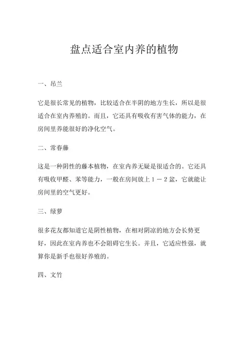 适合室内养的植物