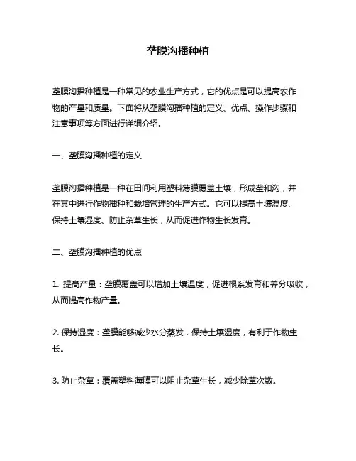 垄膜沟播种植