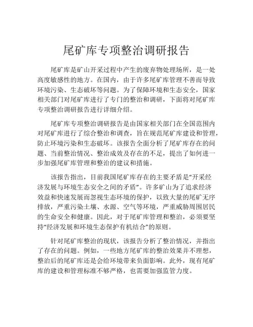 尾矿库专项整治调研报告