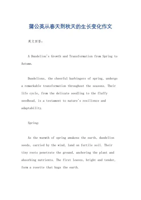 蒲公英从春天到秋天的生长变化作文