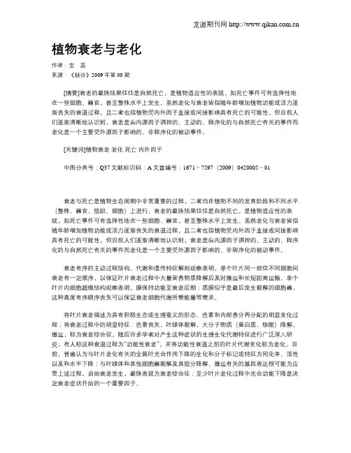 植物衰老与老化