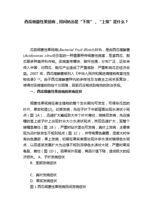 西瓜细菌性果斑病，田间防治是“下策”，“上策”是什么？