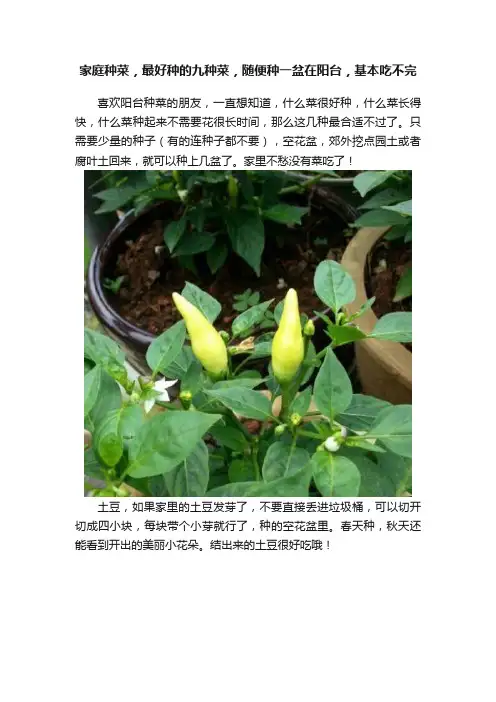 家庭种菜，最好种的九种菜，随便种一盆在阳台，基本吃不完