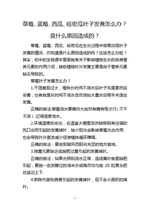 草莓、蓝莓、西瓜、哈密瓜叶子发黄怎么办？是什么原因造成的？