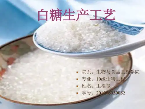 白糖生产工艺课件.pptx