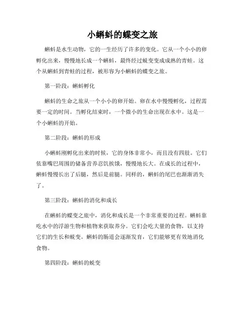小蝌蚪的蝶变之旅