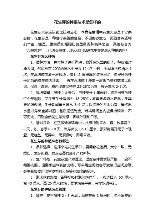 花生芽的种植技术是怎样的