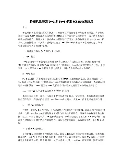 番茄抗性基因Ty-2和Ph-3多重PCR的检测应用