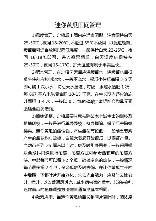 迷你黄瓜田间管理