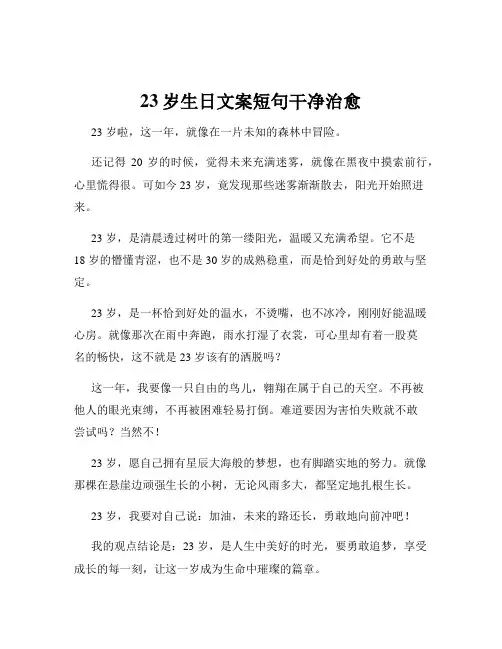 23岁生日文案短句干净治愈