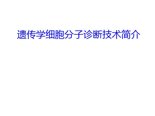 遗传学的分子诊断技术简介