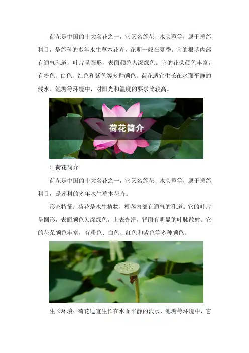 荷花简介,荷花是什么季节开的