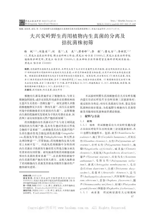 大兴安岭野生药用植物内生真菌的分离及拮抗菌株初筛