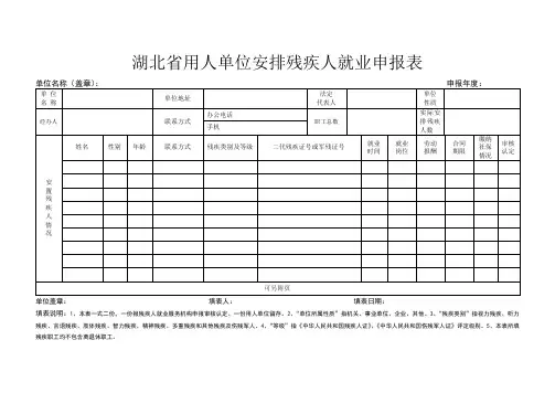 残疾人就业申报表
