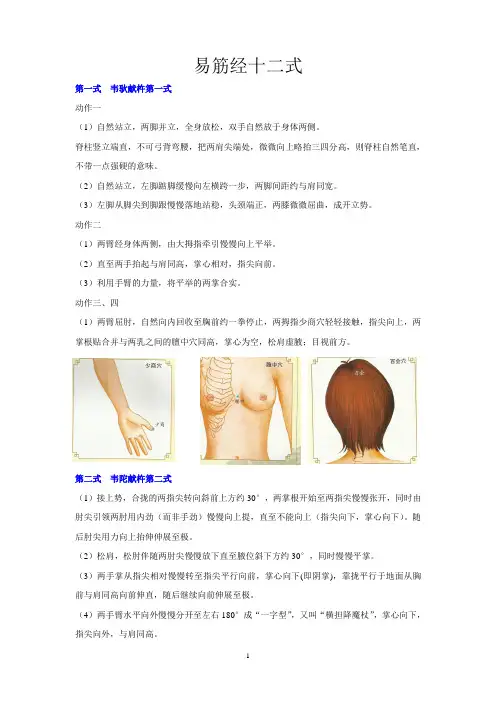 易筋经十二式全解