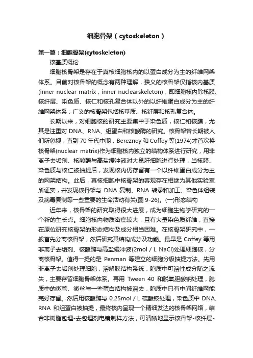 细胞骨架（cytoskeleton）