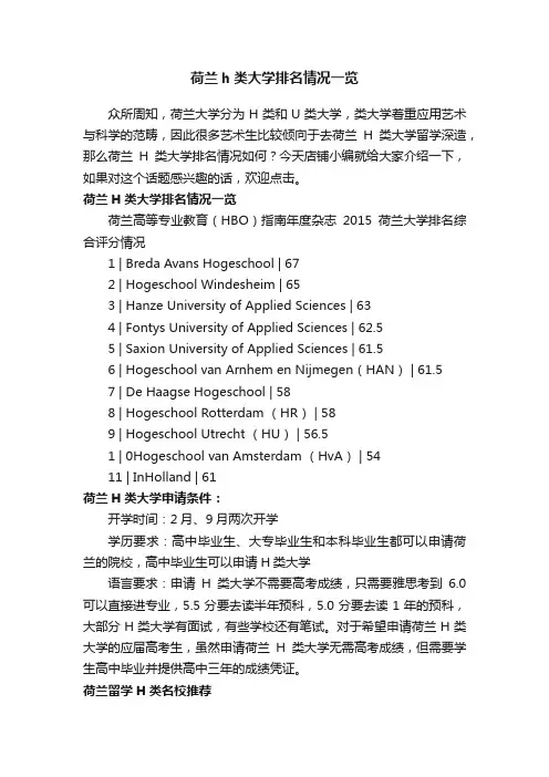 荷兰h类大学排名情况一览