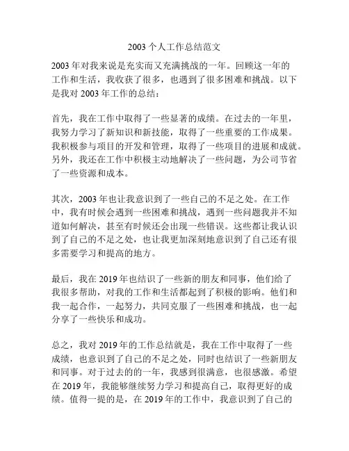 2003个人工作总结范文