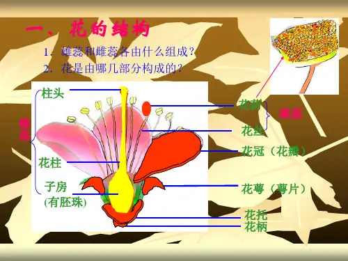 花的形态和解剖结概要