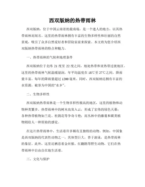 西双版纳的热带雨林