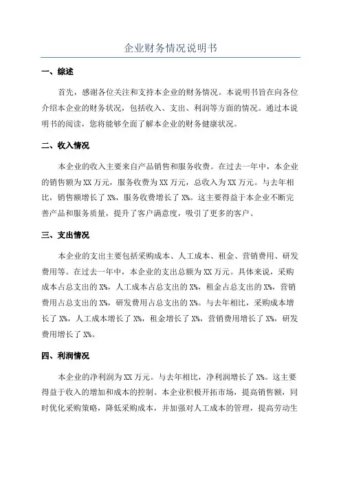 企业财务情况说明书