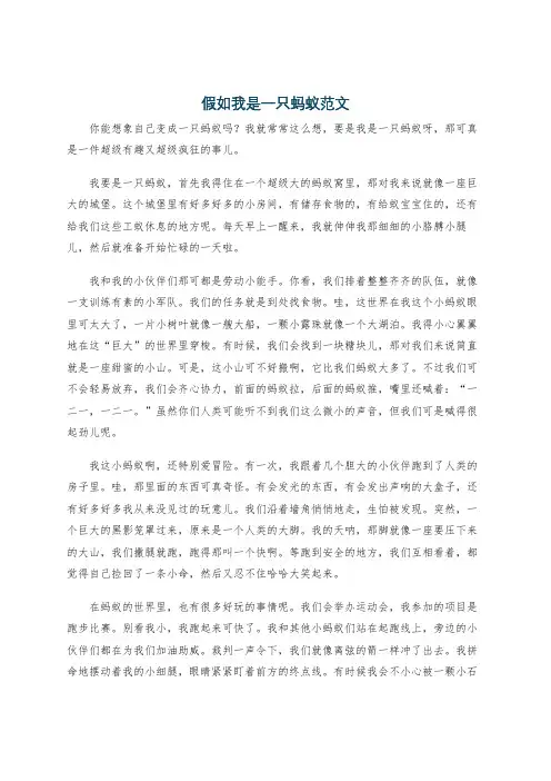 假如我是一只蚂蚁范文