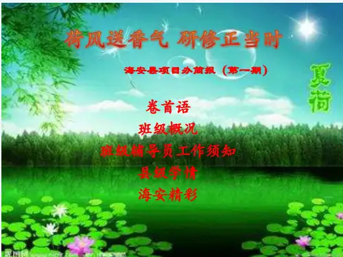 海安县中小学教师全员培训简报1