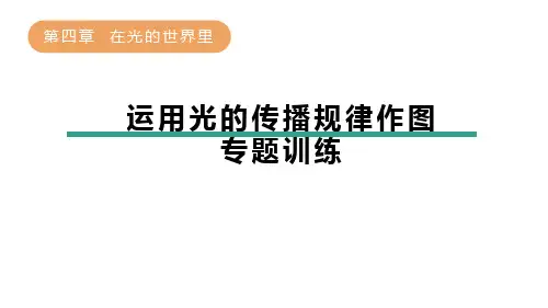 第四章++在光的世界里-运用光的传播规律作图专题训练+2024学年教科版物理八年级上学期