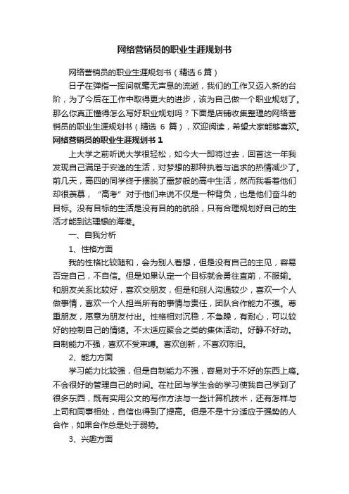 网络营销员的职业生涯规划书