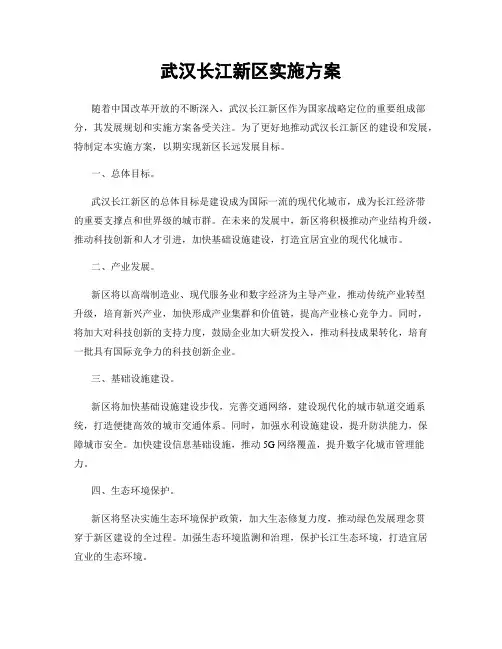 武汉长江新区实施方案