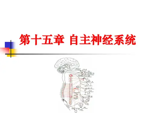 第十五章-自主神经系统