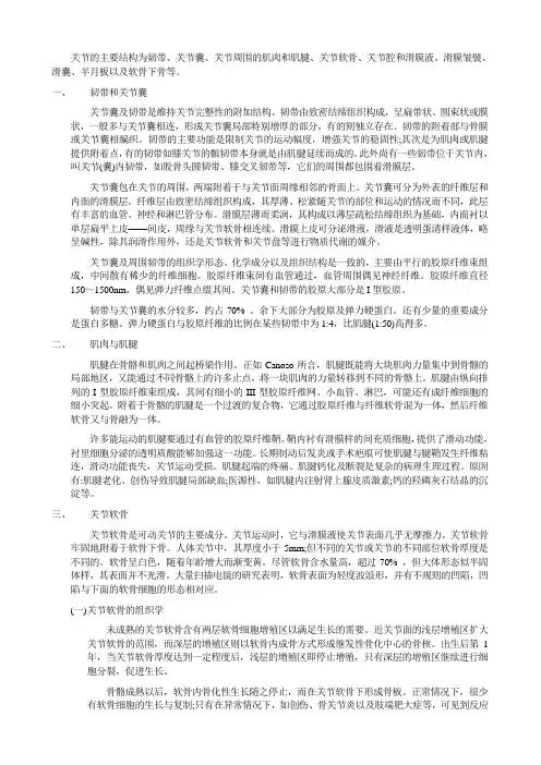 关节软骨